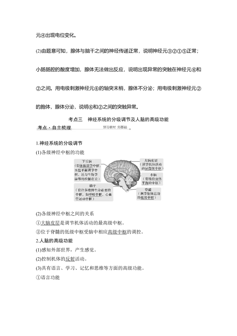 第23讲神经调节_通用版（老高考）复习资料_2023年复习资料_一轮复习_2023年高考生物一轮复习讲义+课件（全国版）_2023年高考生物一轮复习讲义（全国版）_赠补充习题