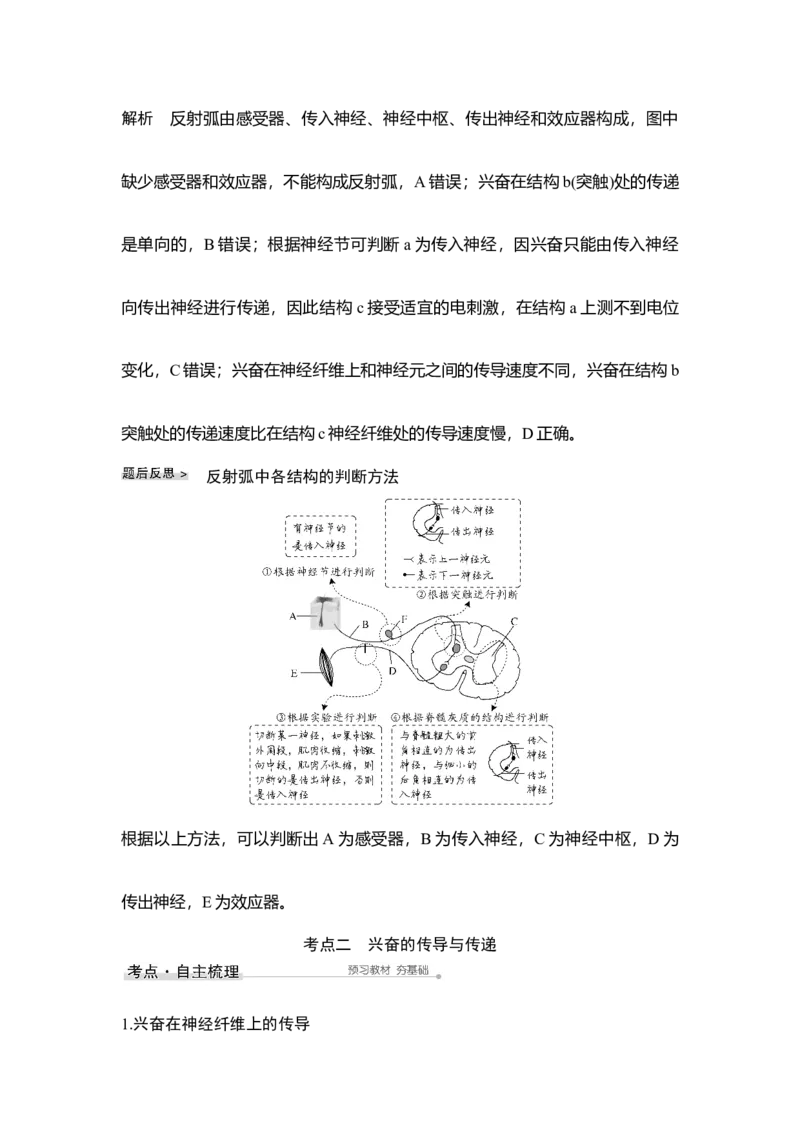 第23讲神经调节_通用版（老高考）复习资料_2023年复习资料_一轮复习_2023年高考生物一轮复习讲义+课件（全国版）_2023年高考生物一轮复习讲义（全国版）_赠补充习题