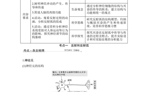 第23讲神经调节_通用版（老高考）复习资料_2023年复习资料_一轮复习_2023年高考生物一轮复习讲义+课件（全国版）_2023年高考生物一轮复习讲义（全国版）_赠补充习题