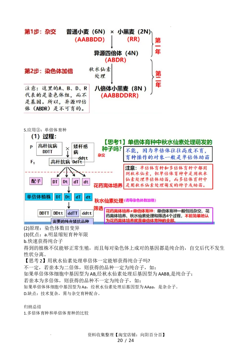 第23讲生物的变异（讲义）（教师版）_新高考复习资料_2024年新高考复习资料_一轮复习资料_完2024年高考生物一轮复习讲练测(课件+讲义+练习)（新高考）_讲义+练习