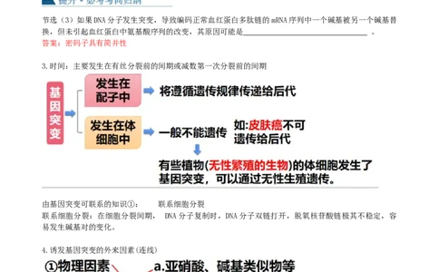 第23讲生物的变异（讲义）（教师版）_新高考复习资料_2024年新高考复习资料_一轮复习资料_完2024年高考生物一轮复习讲练测(课件+讲义+练习)（新高考）_讲义+练习