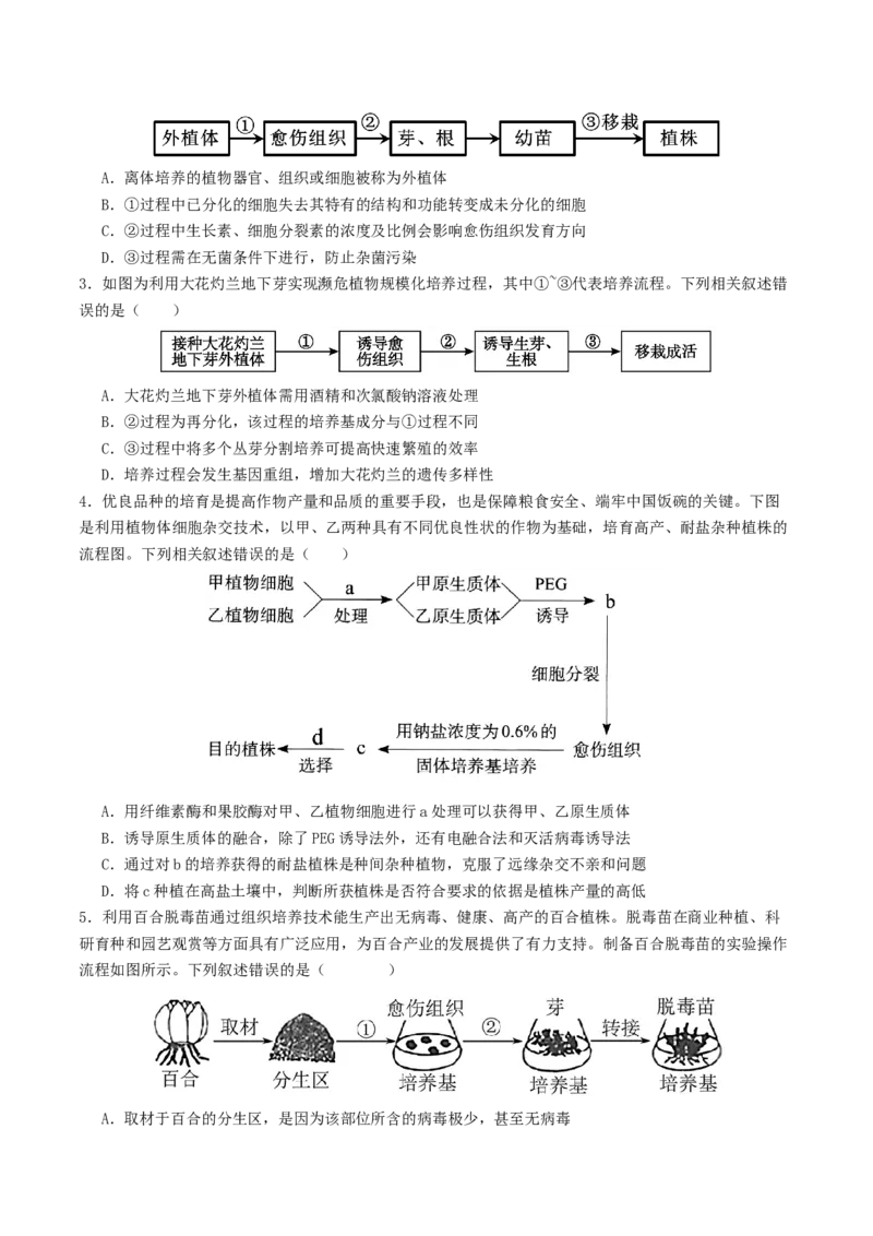 第17讲+细胞工程（讲义）（原卷版）_2025年新高考资料_二轮复习_01高考语文等多个文件_上好课2025年高考生物二轮复习讲练测（新高考通用）