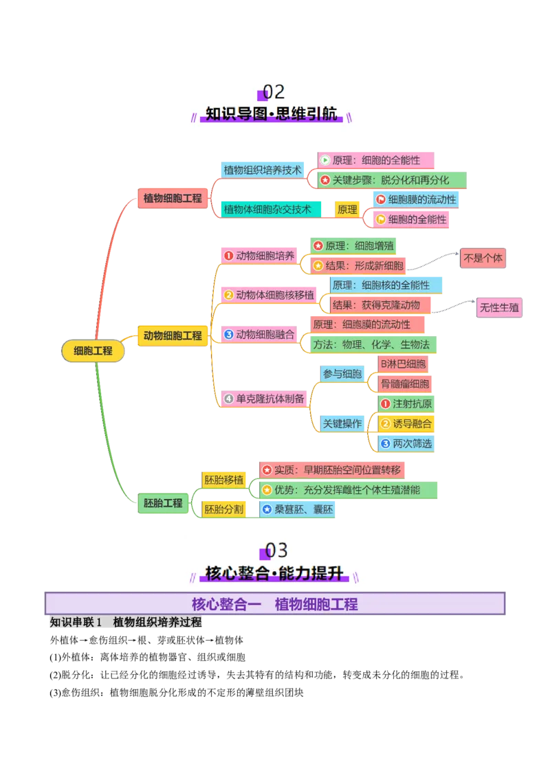第17讲+细胞工程（讲义）（原卷版）_2025年新高考资料_二轮复习_01高考语文等多个文件_上好课2025年高考生物二轮复习讲练测（新高考通用）