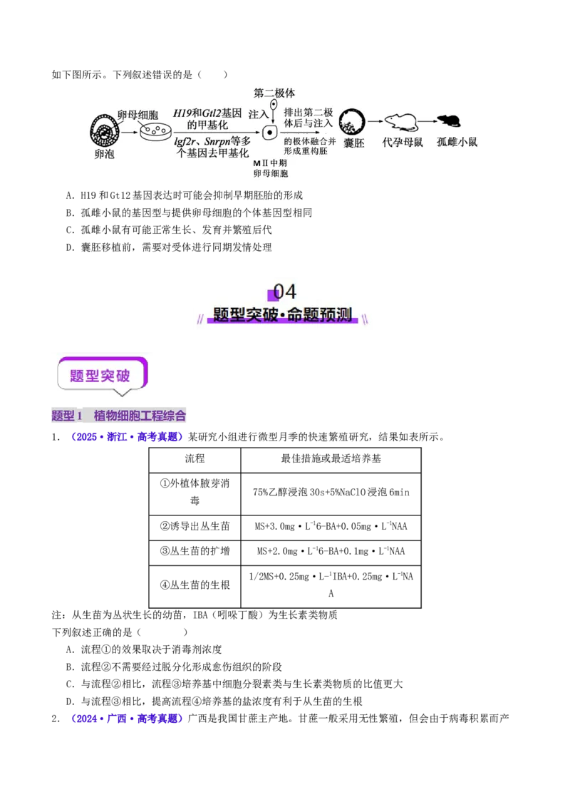 第17讲+细胞工程（讲义）（原卷版）_2025年新高考资料_二轮复习_01高考语文等多个文件_上好课2025年高考生物二轮复习讲练测（新高考通用）