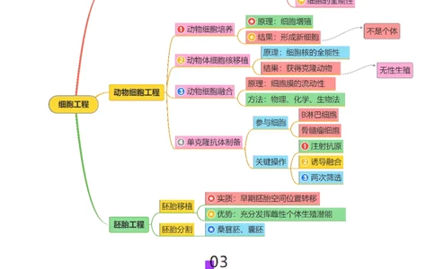 第17讲+细胞工程（讲义）（原卷版）_2025年新高考资料_二轮复习_01高考语文等多个文件_上好课2025年高考生物二轮复习讲练测（新高考通用）