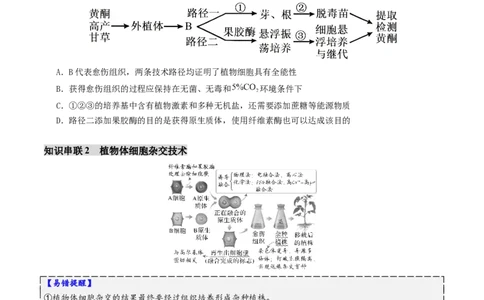 第17讲+细胞工程（讲义）（原卷版）_2025年新高考资料_二轮复习_01高考语文等多个文件_上好课2025年高考生物二轮复习讲练测（新高考通用）