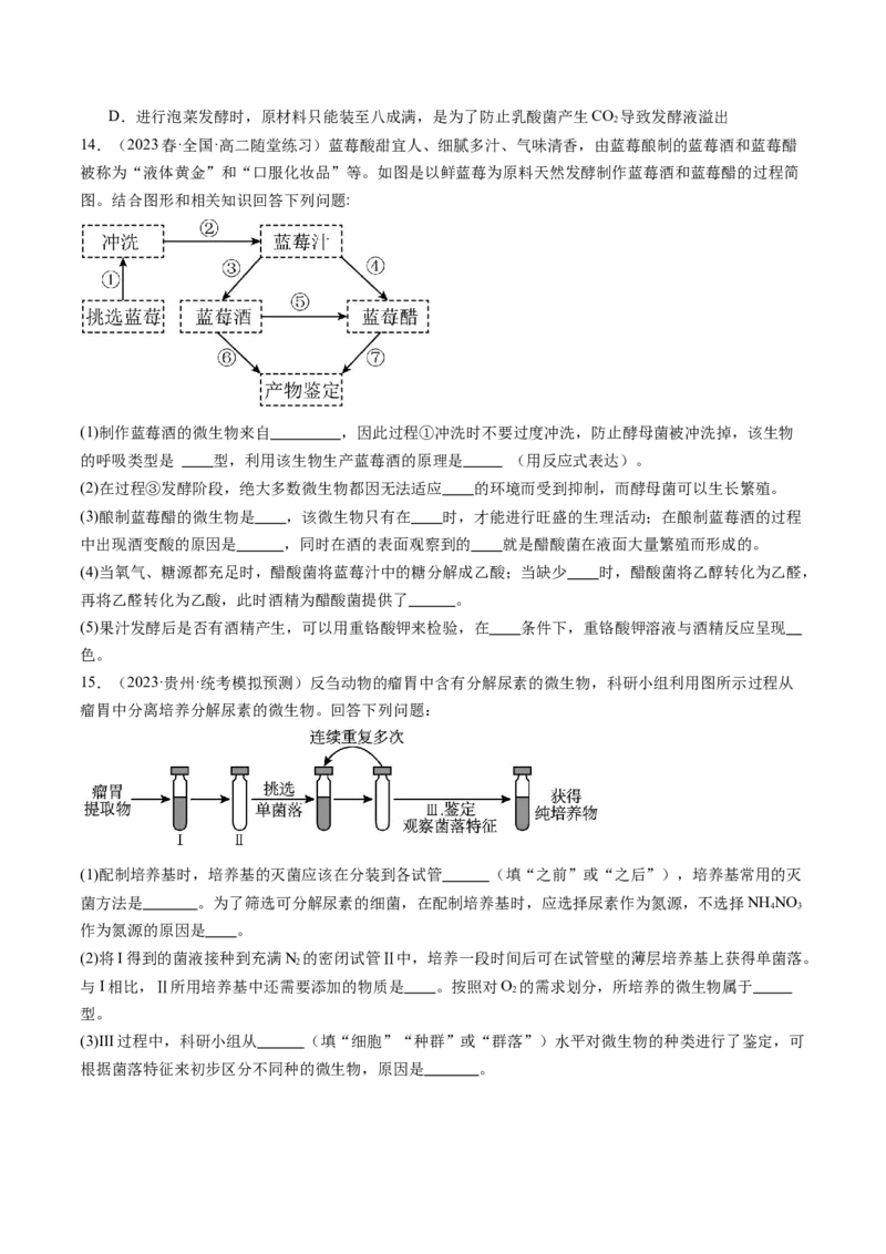 第38讲传统发酵技术和发酵工程的应用（练习）（原卷版）_新高考复习资料_2024年新高考复习资料_一轮复习资料_完2024年高考生物一轮复习讲练测(课件+讲义+练习)（新高考）_讲义+练习