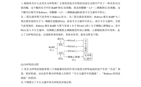 第3单元　解惑练2　光呼吸和光抑制_新高考复习资料_2024年新高考复习资料_一轮复习资料_完2024生物步步高大一轮复习（课件+讲义）_2024年高考生物一轮复习讲义（新人教版）