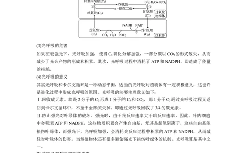 第3单元　解惑练2　光呼吸和光抑制_新高考复习资料_2024年新高考复习资料_一轮复习资料_完2024生物步步高大一轮复习（课件+讲义）_2024年高考生物一轮复习讲义（新人教版）