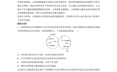 第3单元　解惑练2　光呼吸和光抑制_新高考复习资料_2024年新高考复习资料_一轮复习资料_完2024生物步步高大一轮复习（课件+讲义）_2024年高考生物一轮复习讲义（新人教版）