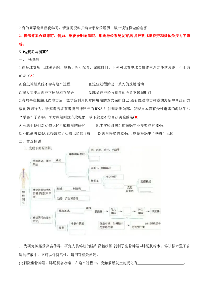 第2章神经调节-查漏补缺2023年高考生物一轮复习教材必背细节与旁栏思考梳理汇总（新教材）（答案版）_新高考复习资料_2023年新高考复习资料_一轮复习
