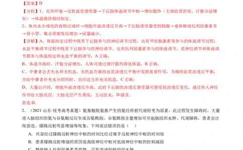 第28讲神经调节和体液调节的关系（练习）（解析版）_新高考复习资料_2024年新高考复习资料_一轮复习资料_完2024年高考生物一轮复习讲练测(课件+讲义+练习)（新高考）_讲义+练习