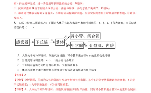 第28讲神经调节和体液调节的关系（练习）（解析版）_新高考复习资料_2024年新高考复习资料_一轮复习资料_完2024年高考生物一轮复习讲练测(课件+讲义+练习)（新高考）_讲义+练习