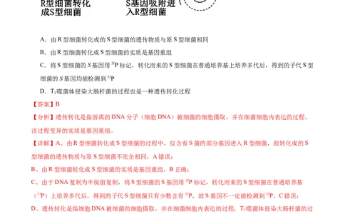 第1讲DNA是主要的遗传物质（解析版）_通用版（老高考）复习资料_2024年复习资料_完备战2024年高考生物一轮复习考点帮（全国通用）_专题七遗传的物质基础