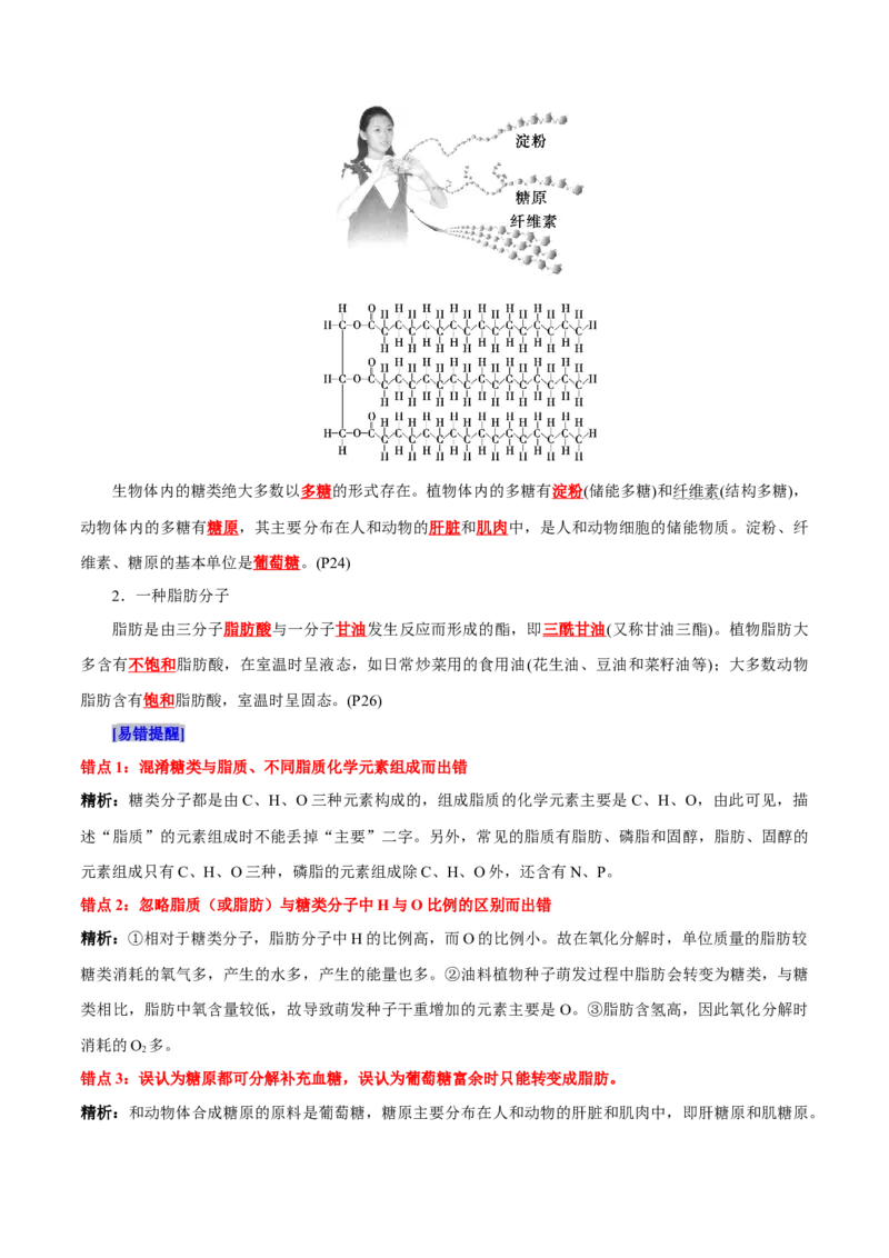 第2章组成细胞的分子（背诵版）_2025年新高考资料_专项复习_晨读晚默备战2025年高考生物必背知识清单_第2章组成细胞的分子-晨读晚默备战2025年高考生物必背知识清单