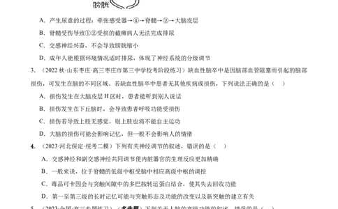 第2讲通过神经系统的调节（第2课时）（原卷版）_通用版（老高考）复习资料_2024年复习资料_完备战2024年高考生物一轮复习考点帮（全国通用）_专题九生命活动的调节