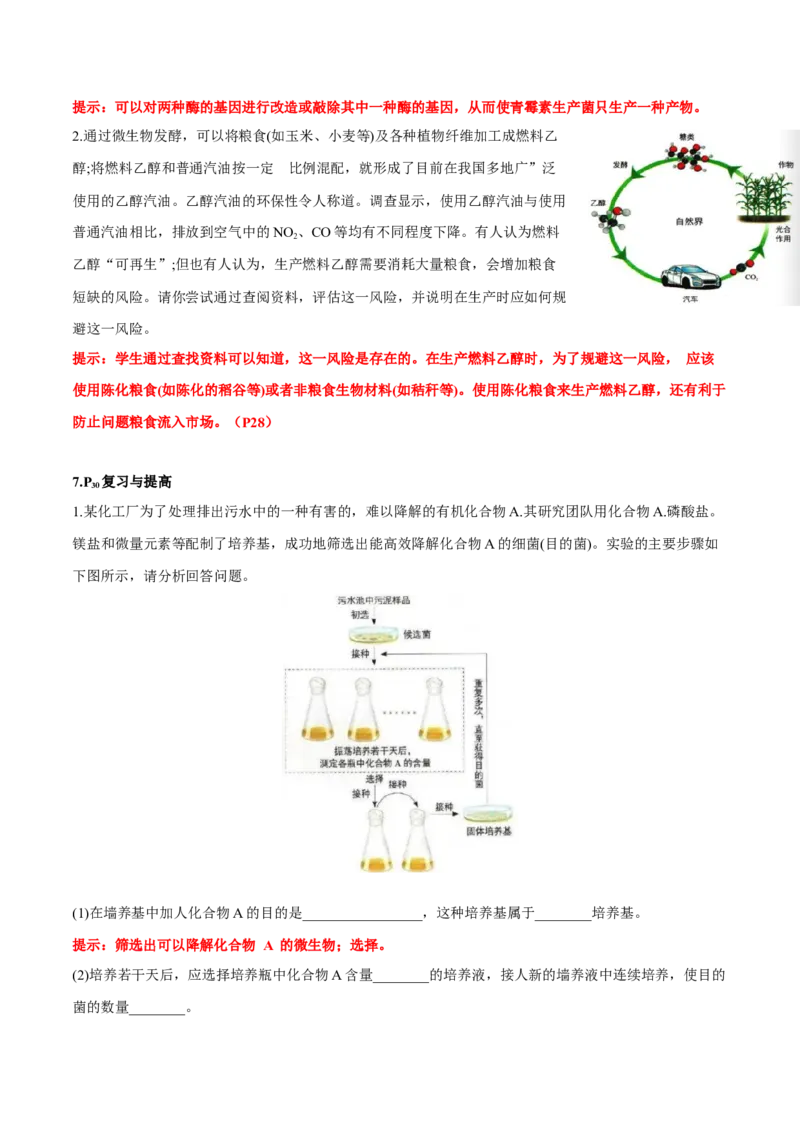 第1章发酵工程-查漏补缺2023年高考生物一轮复习教材必背细节与旁栏思考梳理汇总（新教材）（答案版）_新高考复习资料_2023年新高考复习资料_一轮复习