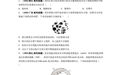 第17讲细胞增殖-精准备考备战2023年高考生物一轮复习精品讲义（生物学必修1）（原卷版）_通用版（老高考）复习资料_2023年复习资料_一轮复习