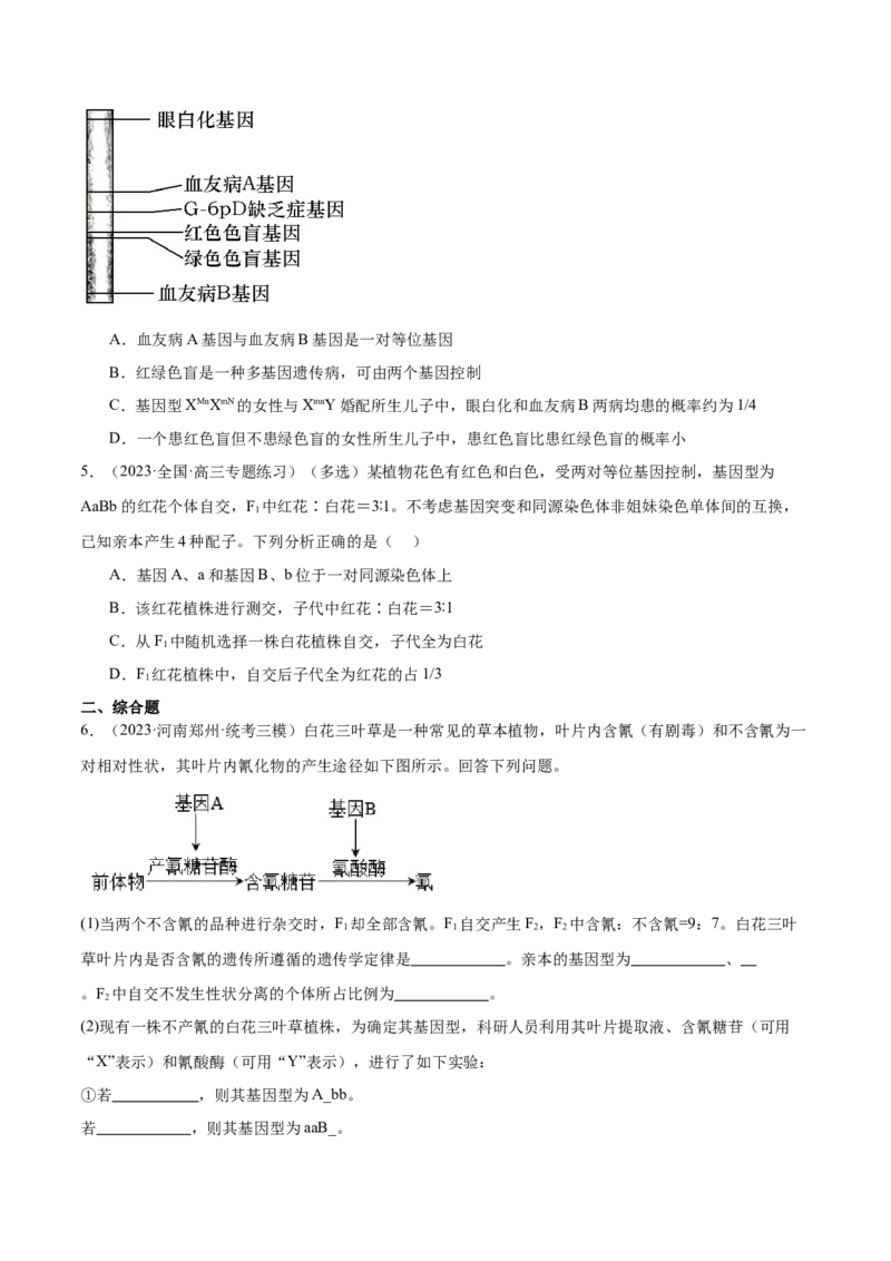 第3讲基因自由组合定律的应用（原卷版）_通用版（老高考）复习资料_2024年复习资料_完备战2024年高考生物一轮复习考点帮（全国通用）_专题六基因的传递规律