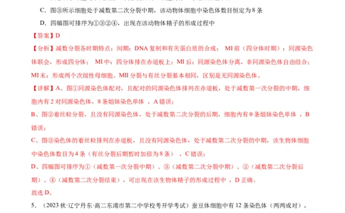 第3讲减数分裂和受精作用（解析版）_通用版（老高考）复习资料_2024年复习资料_完备战2024年高考生物一轮复习考点帮（全国通用）_专题五细胞的生命历程