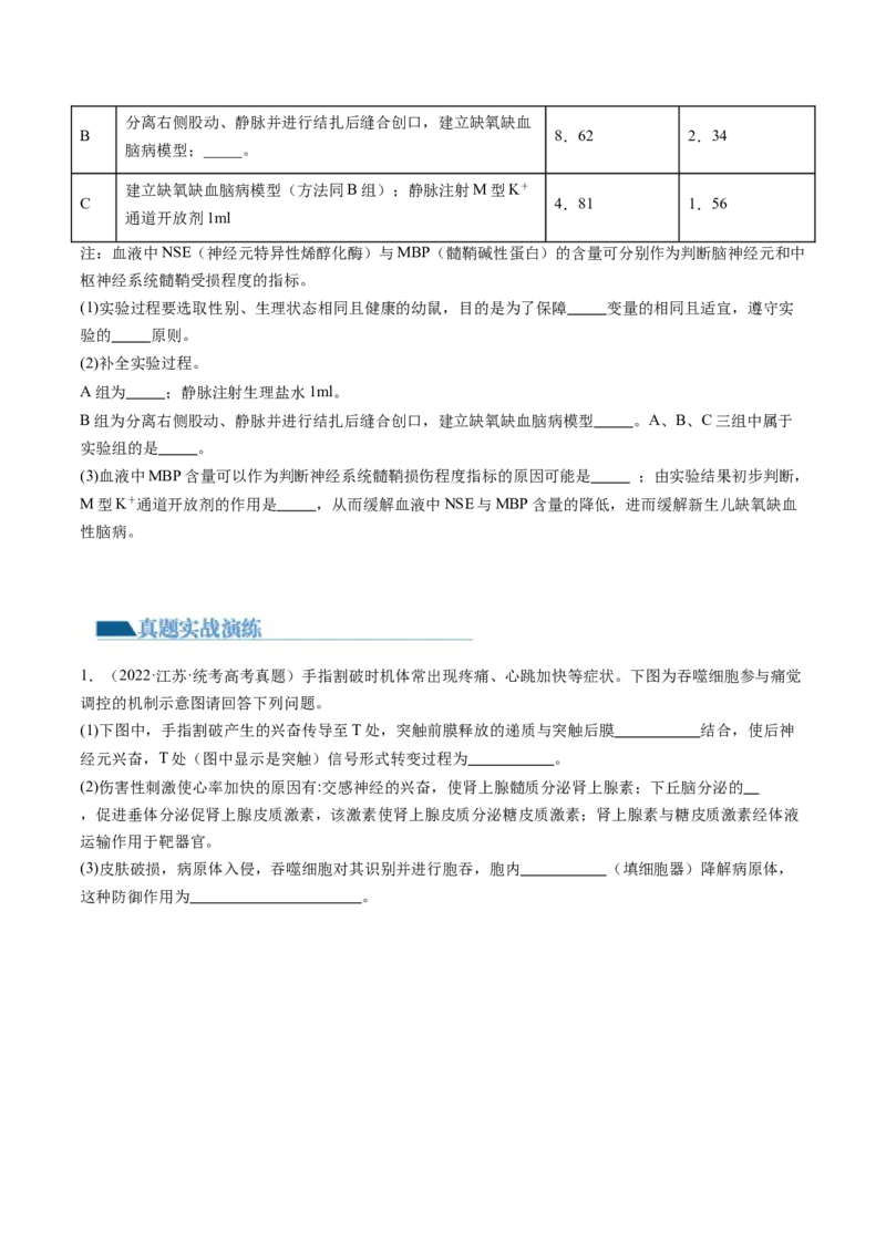 第31讲动物生命活动调节的综合分析（练习）（原卷版）_新高考复习资料_2024年新高考复习资料_一轮复习资料_完2024年高考生物一轮复习讲练测(课件+讲义+练习)（新高考）_讲义+练习
