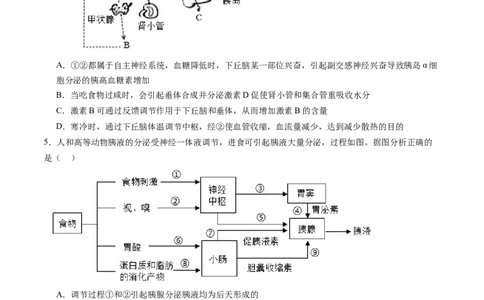 第31讲动物生命活动调节的综合分析（练习）（原卷版）_新高考复习资料_2024年新高考复习资料_一轮复习资料_完2024年高考生物一轮复习讲练测(课件+讲义+练习)（新高考）_讲义+练习