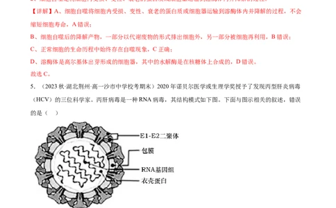 第1讲细胞膜的结构和功能（解析版）_通用版（老高考）复习资料_2024年复习资料_完备战2024年高考生物一轮复习考点帮（全国通用）_专题三细胞的基本结构和物质的运输