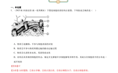 第1讲细胞膜的结构和功能（解析版）_通用版（老高考）复习资料_2024年复习资料_完备战2024年高考生物一轮复习考点帮（全国通用）_专题三细胞的基本结构和物质的运输
