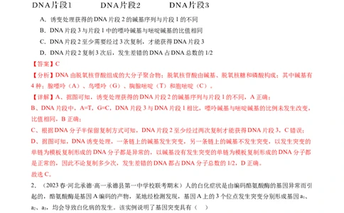 第23讲生物的变异（练习）（解析版）_新高考复习资料_2024年新高考复习资料_一轮复习资料_完2024年高考生物一轮复习讲练测(课件+讲义+练习)（新高考）_讲义+练习