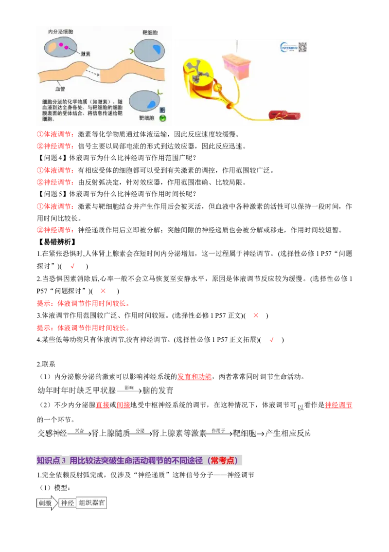 第27讲体液调节与神经调节的关系（讲义）（解析版）_2025年新高考资料_一轮复习_2025年高考生物一轮复习讲练测（新教材新高考）