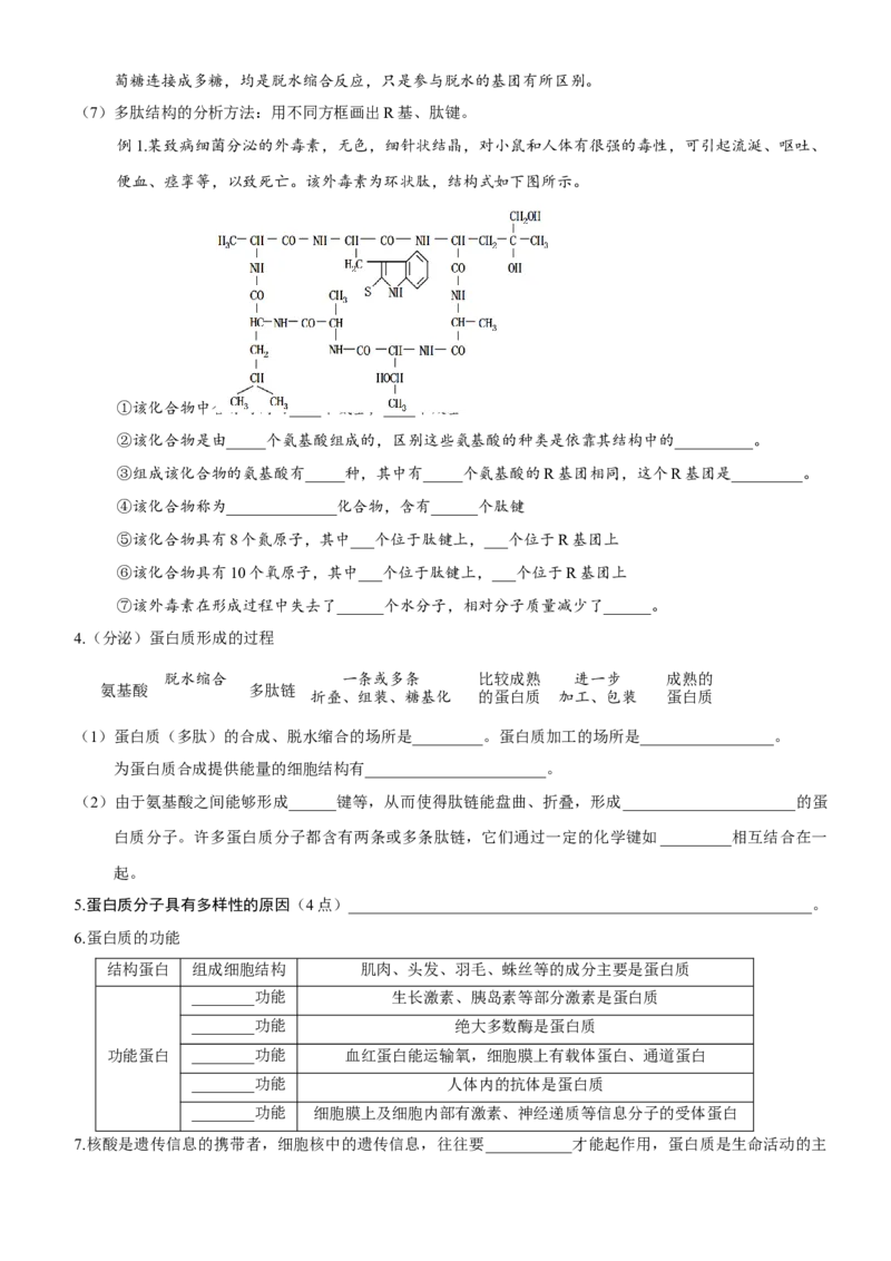 第3讲蛋白质是生命活动的主要承担者（知识清单）_新高考复习资料_2025年新高考资料_备战2025年高考生物一轮复习课件+知识清单