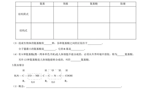 第3讲蛋白质是生命活动的主要承担者（知识清单）_新高考复习资料_2025年新高考资料_备战2025年高考生物一轮复习课件+知识清单
