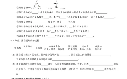 第3讲蛋白质是生命活动的主要承担者（知识清单）_新高考复习资料_2025年新高考资料_备战2025年高考生物一轮复习课件+知识清单