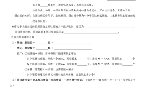 第3讲蛋白质是生命活动的主要承担者（知识清单）_新高考复习资料_2025年新高考资料_备战2025年高考生物一轮复习课件+知识清单