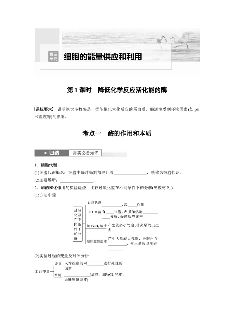 第3单元　第1课时　降低化学反应活化能的酶_新高考复习资料_2024年新高考复习资料_一轮复习资料_完2024生物步步高大一轮复习（课件+讲义）_2024年高考生物一轮复习讲义（新人教版）