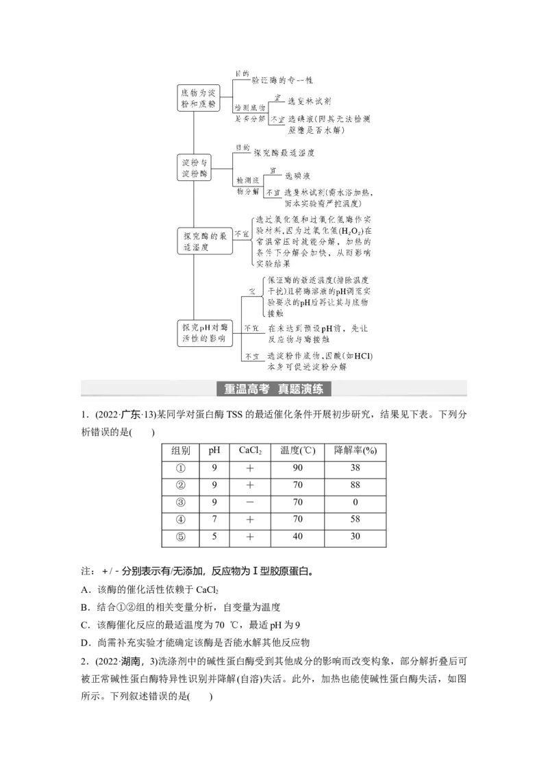 第3单元　第1课时　降低化学反应活化能的酶_新高考复习资料_2024年新高考复习资料_一轮复习资料_完2024生物步步高大一轮复习（课件+讲义）_2024年高考生物一轮复习讲义（新人教版）