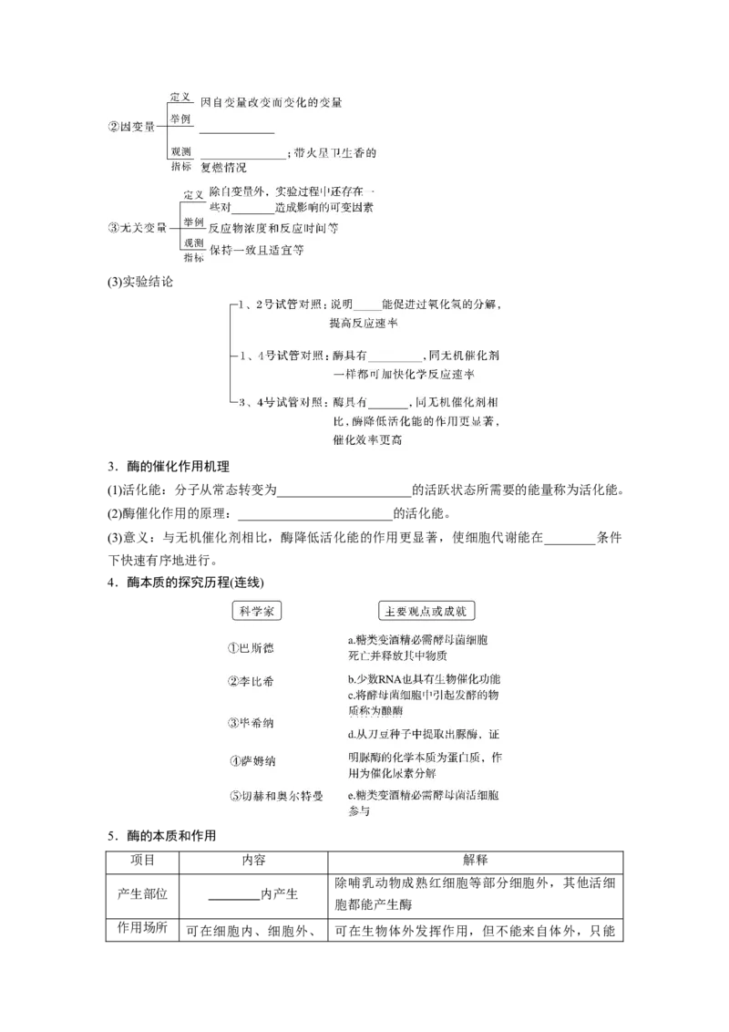 第3单元　第1课时　降低化学反应活化能的酶_新高考复习资料_2024年新高考复习资料_一轮复习资料_完2024生物步步高大一轮复习（课件+讲义）_2024年高考生物一轮复习讲义（新人教版）