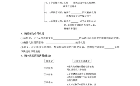 第3单元　第1课时　降低化学反应活化能的酶_新高考复习资料_2024年新高考复习资料_一轮复习资料_完2024生物步步高大一轮复习（课件+讲义）_2024年高考生物一轮复习讲义（新人教版）