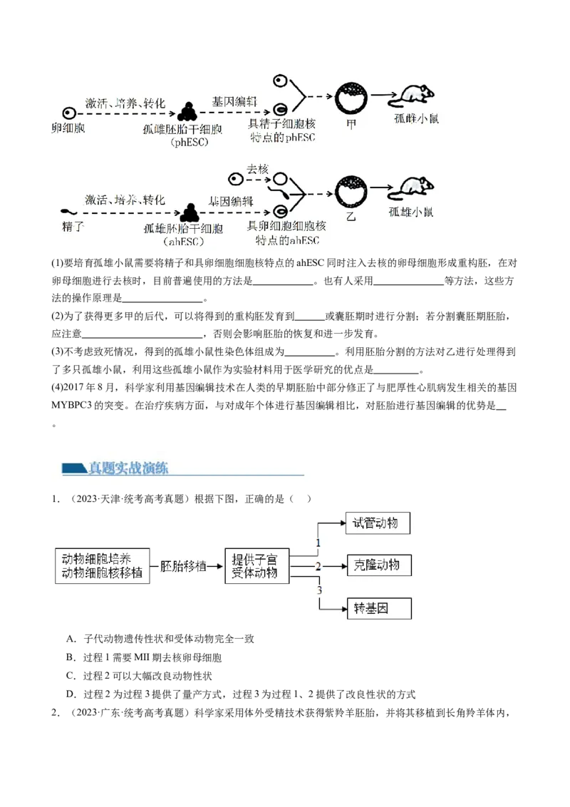 第42讲胚胎工程（练习）（原卷版）_新高考复习资料_2024年新高考复习资料_一轮复习资料_完2024年高考生物一轮复习讲练测(课件+讲义+练习)（新高考）_讲义+练习