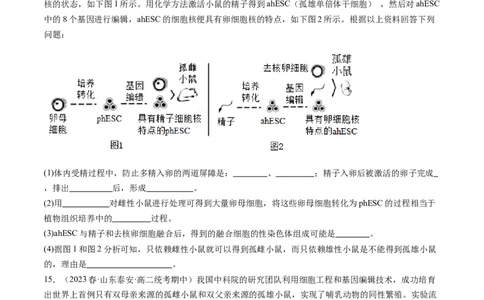 第42讲胚胎工程（练习）（原卷版）_新高考复习资料_2024年新高考复习资料_一轮复习资料_完2024年高考生物一轮复习讲练测(课件+讲义+练习)（新高考）_讲义+练习