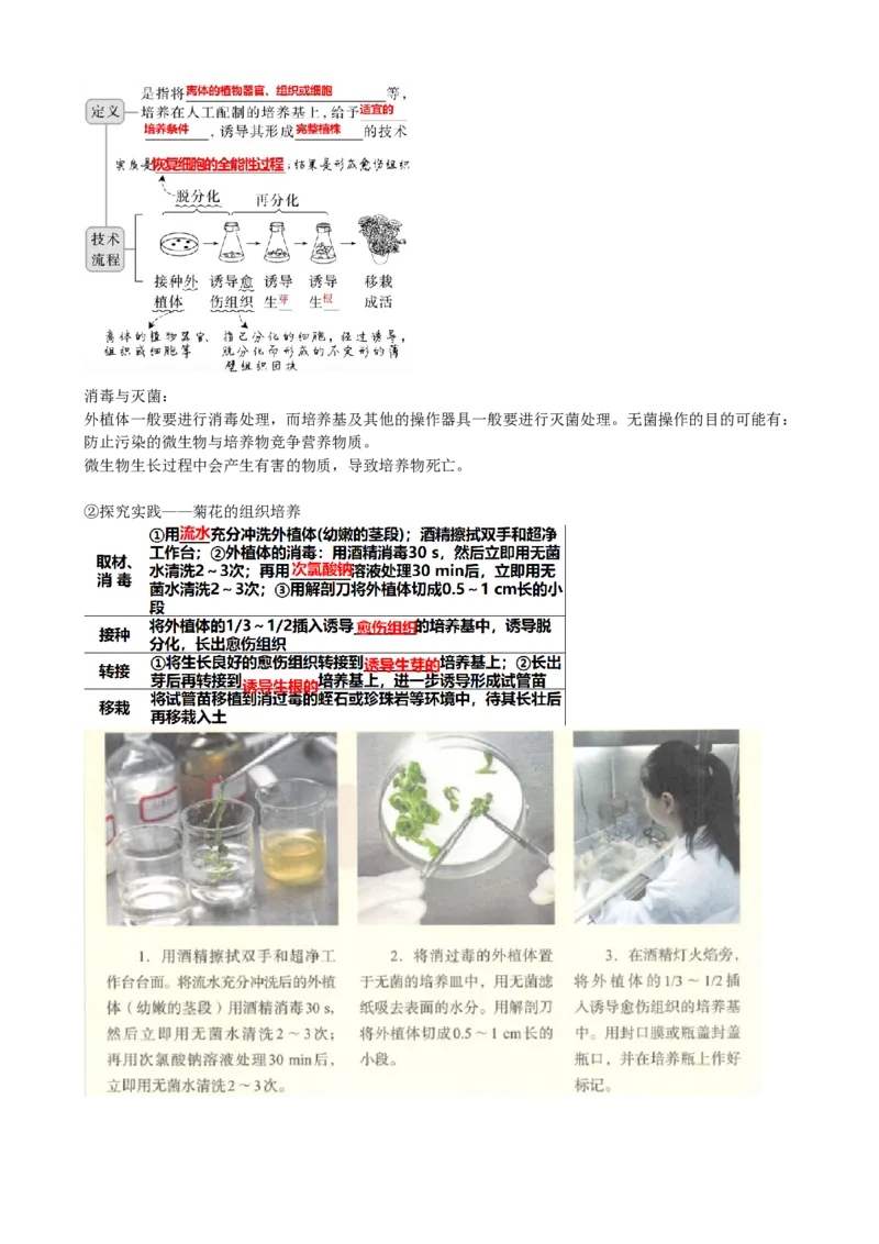 第40讲植物细胞工程（讲义）（学生版）_新高考复习资料_2024年新高考复习资料_一轮复习资料_完2024年高考生物一轮复习讲练测(课件+讲义+练习)（新高考）_讲义+练习