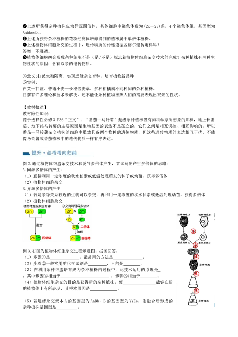 第40讲植物细胞工程（讲义）（学生版）_新高考复习资料_2024年新高考复习资料_一轮复习资料_完2024年高考生物一轮复习讲练测(课件+讲义+练习)（新高考）_讲义+练习