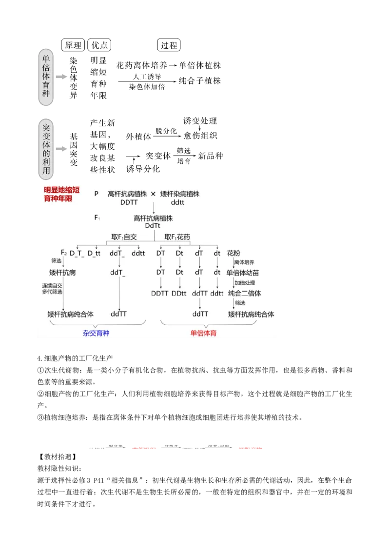 第40讲植物细胞工程（讲义）（学生版）_新高考复习资料_2024年新高考复习资料_一轮复习资料_完2024年高考生物一轮复习讲练测(课件+讲义+练习)（新高考）_讲义+练习