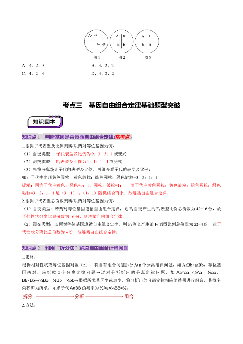 第16讲自由组合定律（第一课时）（讲义）（原卷版）_2025年新高考资料_一轮复习_2025年高考生物一轮复习讲练测（新教材新高考）