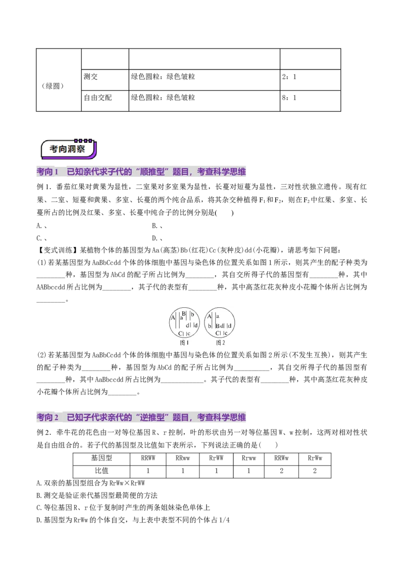 第16讲自由组合定律（第一课时）（讲义）（原卷版）_2025年新高考资料_一轮复习_2025年高考生物一轮复习讲练测（新教材新高考）