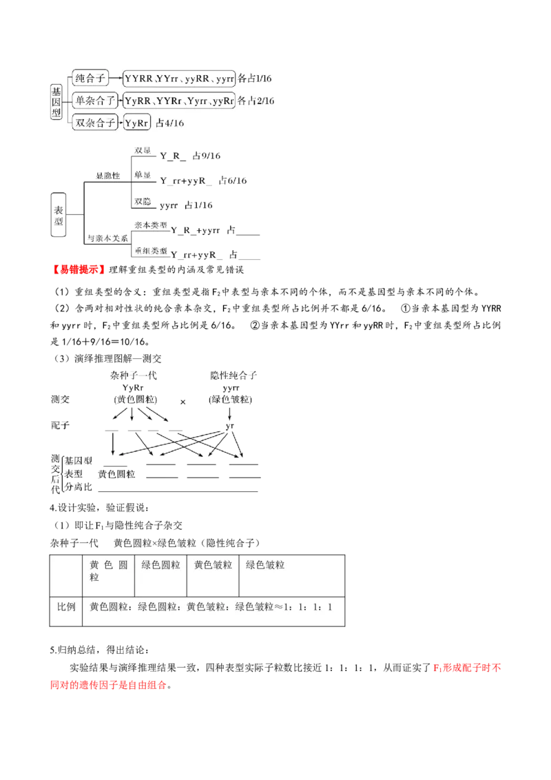 第16讲自由组合定律（第一课时）（讲义）（原卷版）_2025年新高考资料_一轮复习_2025年高考生物一轮复习讲练测（新教材新高考）