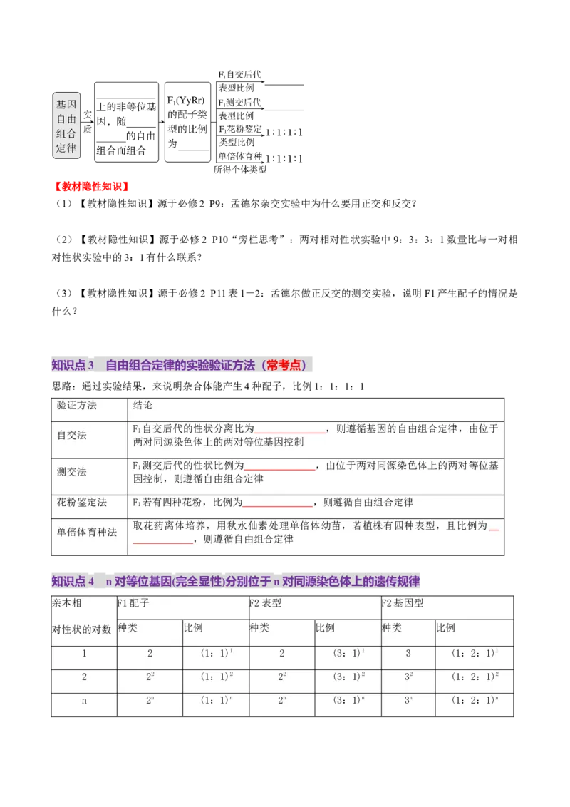 第16讲自由组合定律（第一课时）（讲义）（原卷版）_2025年新高考资料_一轮复习_2025年高考生物一轮复习讲练测（新教材新高考）