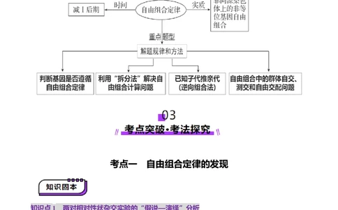 第16讲自由组合定律（第一课时）（讲义）（原卷版）_2025年新高考资料_一轮复习_2025年高考生物一轮复习讲练测（新教材新高考）