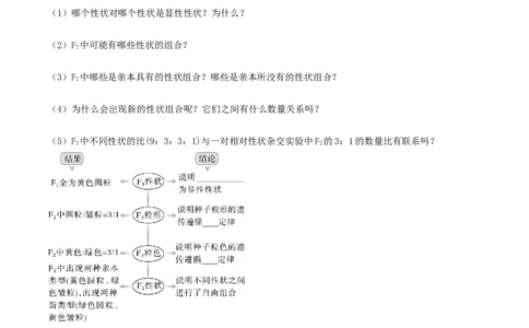 第16讲自由组合定律（第一课时）（讲义）（原卷版）_2025年新高考资料_一轮复习_2025年高考生物一轮复习讲练测（新教材新高考）
