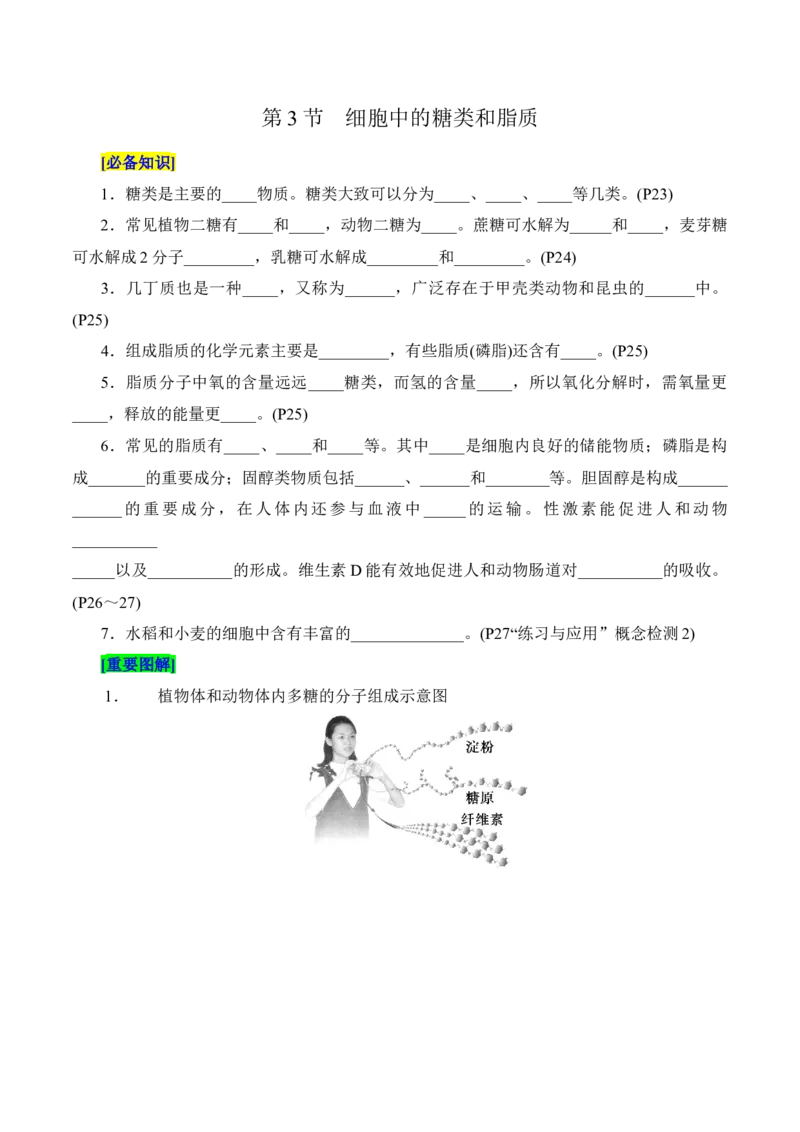 第2章组成细胞的分子（填空版）_2025年新高考资料_专项复习_晨读晚默备战2025年高考生物必背知识清单_第2章组成细胞的分子-晨读晚默备战2025年高考生物必背知识清单